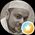Photo de profil de Gabriel Hagaï